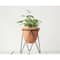Hello Honey® 8.5" Terra Cotta Pot With Metal Stand Set
